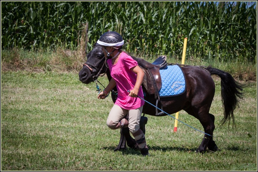 Mounted Games 124